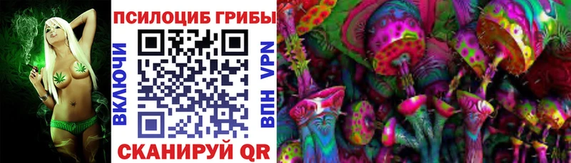 Псилоцибиновые грибы MAGIC MUSHROOMS  Купить  Вязьма 